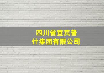 四川省宜宾普什集团有限公司