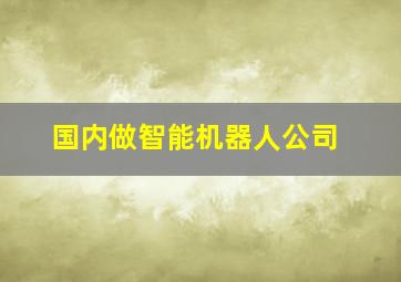 国内做智能机器人公司