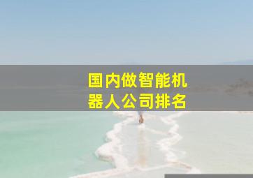 国内做智能机器人公司排名