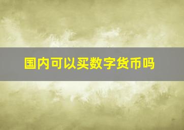 国内可以买数字货币吗