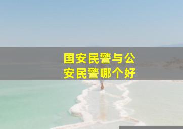 国安民警与公安民警哪个好