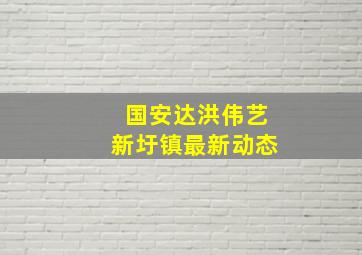 国安达洪伟艺新圩镇最新动态