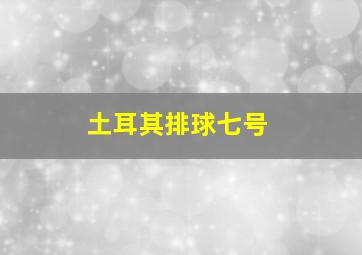 土耳其排球七号