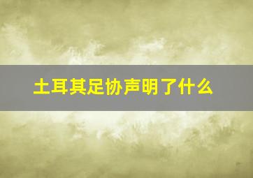 土耳其足协声明了什么