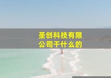 圣创科技有限公司干什么的