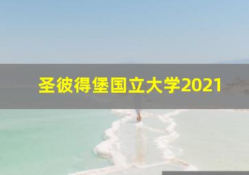 圣彼得堡国立大学2021