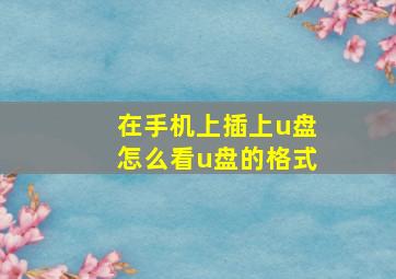 在手机上插上u盘怎么看u盘的格式