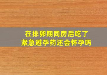 在排卵期同房后吃了紧急避孕药还会怀孕吗