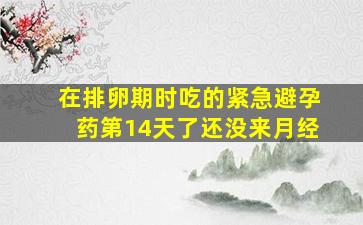 在排卵期时吃的紧急避孕药第14天了还没来月经