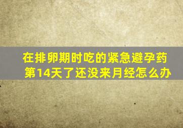 在排卵期时吃的紧急避孕药第14天了还没来月经怎么办