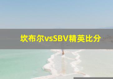 坎布尔vsSBV精英比分