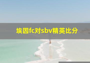 埃因fc对sbv精英比分