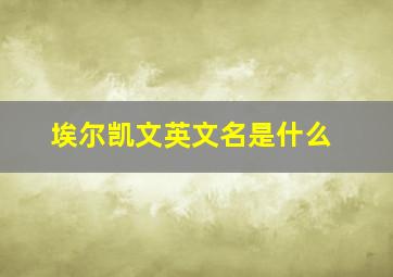 埃尔凯文英文名是什么