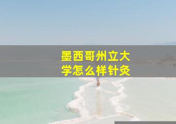 墨西哥州立大学怎么样针灸