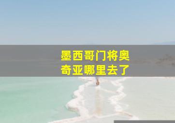 墨西哥门将奥奇亚哪里去了