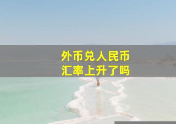 外币兑人民币汇率上升了吗