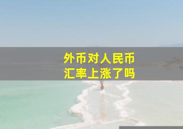 外币对人民币汇率上涨了吗