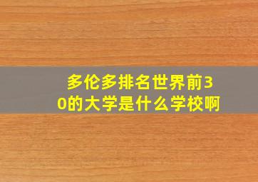 多伦多排名世界前30的大学是什么学校啊