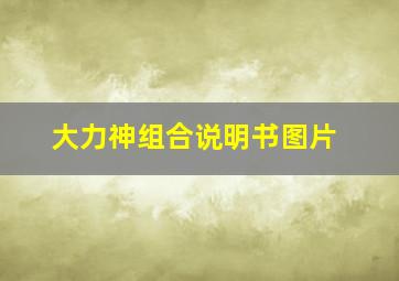 大力神组合说明书图片