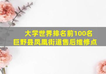 大学世界排名前100名巨野县凤凰街道售后维修点