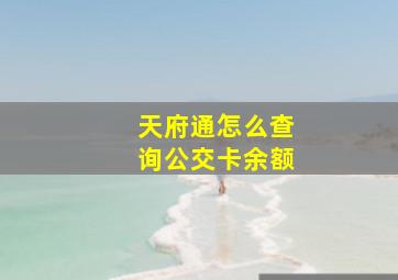 天府通怎么查询公交卡余额