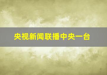 央视新闻联播中央一台