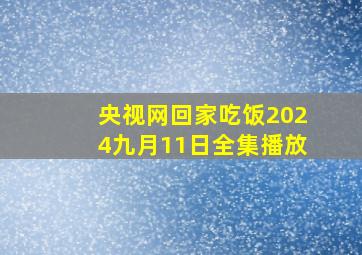 央视网回家吃饭2024九月11日全集播放