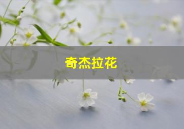 奇杰拉花