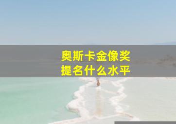 奥斯卡金像奖提名什么水平