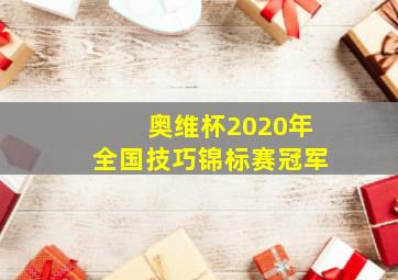 奥维杯2020年全国技巧锦标赛冠军