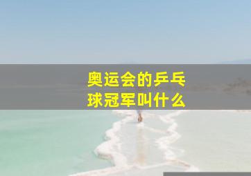 奥运会的乒乓球冠军叫什么