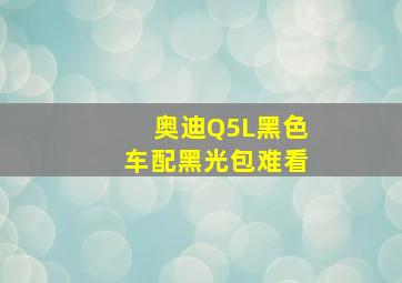 奥迪Q5L黑色车配黑光包难看