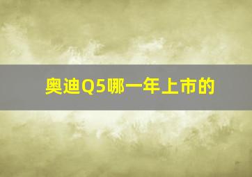 奥迪Q5哪一年上市的