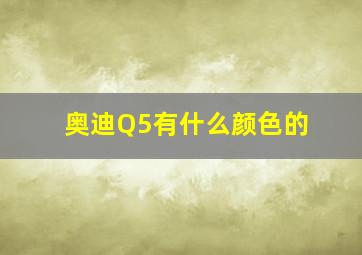 奥迪Q5有什么颜色的