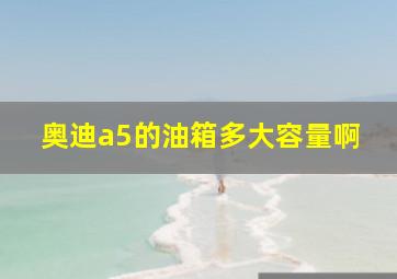 奥迪a5的油箱多大容量啊