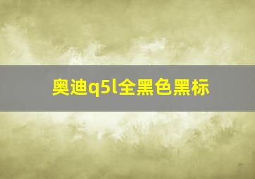 奥迪q5l全黑色黑标