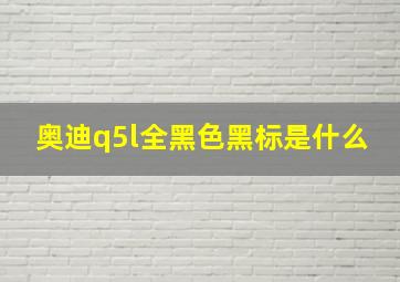 奥迪q5l全黑色黑标是什么