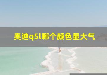 奥迪q5l哪个颜色显大气