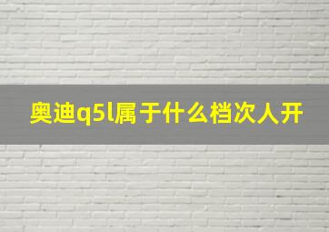 奥迪q5l属于什么档次人开