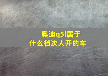 奥迪q5l属于什么档次人开的车