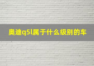 奥迪q5l属于什么级别的车