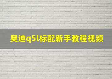 奥迪q5l标配新手教程视频