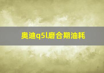 奥迪q5l磨合期油耗