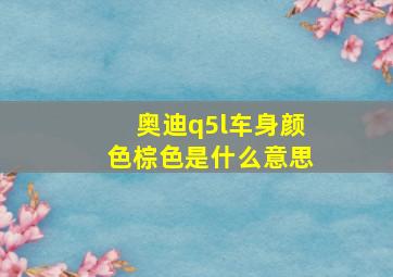 奥迪q5l车身颜色棕色是什么意思