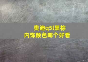 奥迪q5l黑棕内饰颜色哪个好看