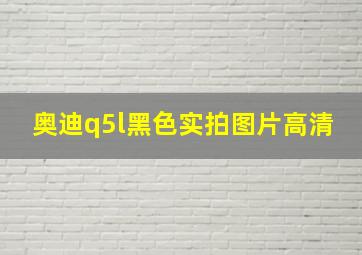 奥迪q5l黑色实拍图片高清