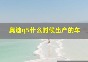 奥迪q5什么时候出产的车