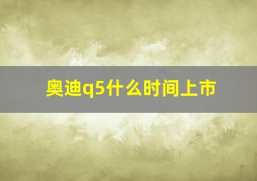 奥迪q5什么时间上市