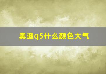 奥迪q5什么颜色大气