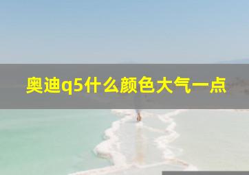 奥迪q5什么颜色大气一点